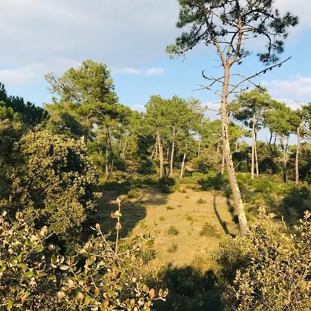 Du Bourg, Proximite & * Saint-Jean-de-Monts